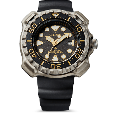Citizen Promaster BN0220-16E Erkek Kol Saati