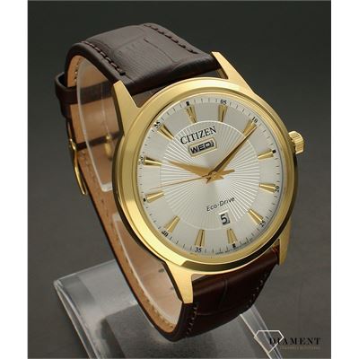 Citizen AW010213AE EcoDrive Erkek Kol Saati Abt Saat