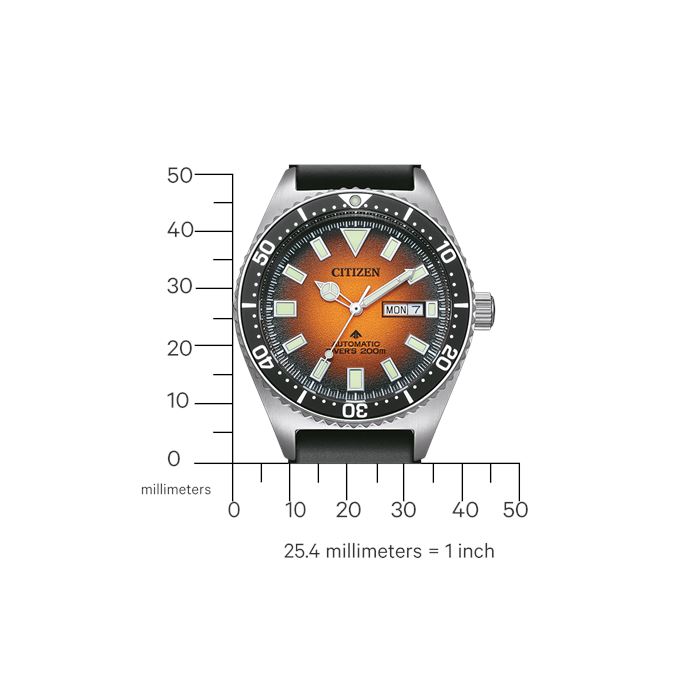 Citizen Promaster NY012001ZE Erkek Kol Saati Abt Saat