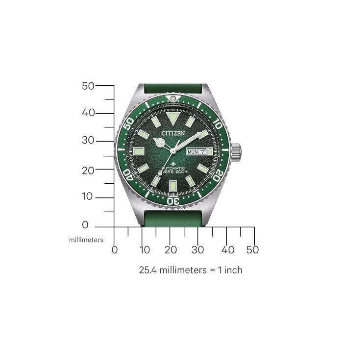 Citizen Promaster NY0121-09XC Erkek Kol Saati - Abt Saat