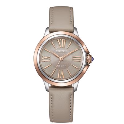 Citizen Eco Drive EM1166-01Z Kadın Kol Saati